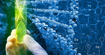 Ферменты (энзимы) для ускорения биологических процессов в организме